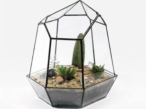 Glass Terrarium