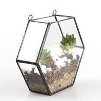 Glass Terrarium