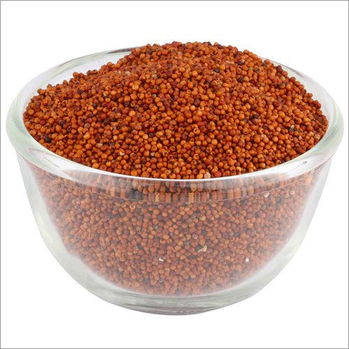 Organic Ragi Seeds