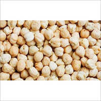 White Chickpeas