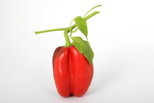 Red Bell Pepper / Capsicum By TUNED FOOD AGRO LLP