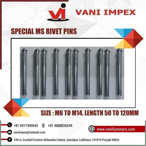 Special Rivet Pins