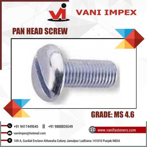 Slotted Screw