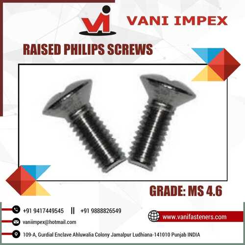 Raised Philips Screw