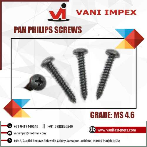 Pan Philips Screw