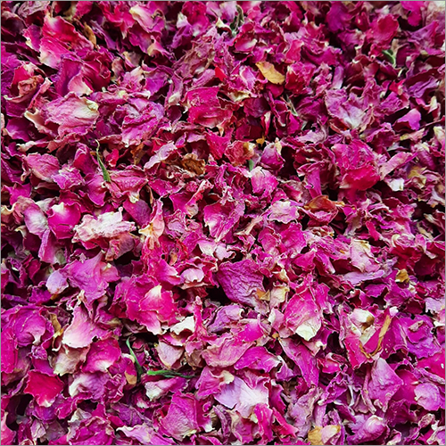 Dry Pink Rose Petals