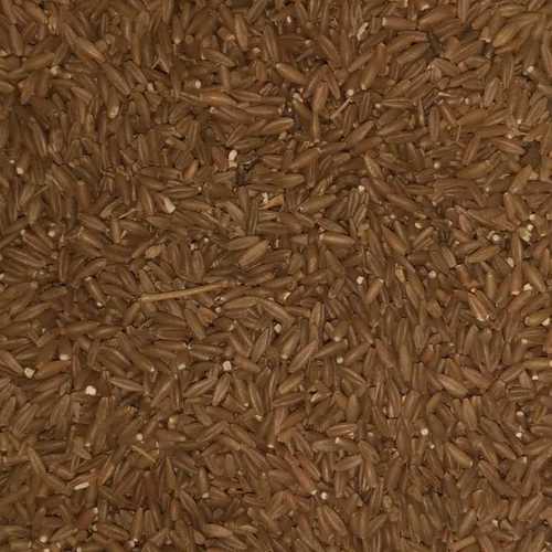 Bamboo Rice