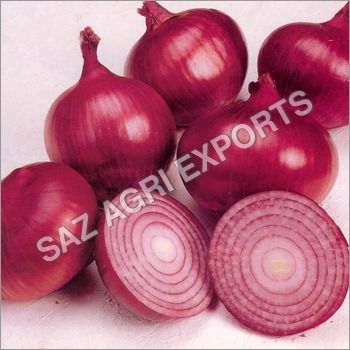 Fresh Onion