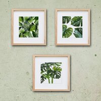 Wall Paintings