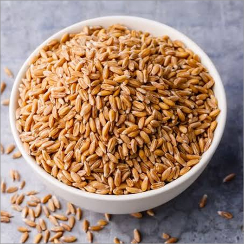 Indian Wheat Grain By AMBE FOOD INDUSTRIES PRIVATE LIMITED
