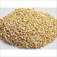 Sesame Seeds