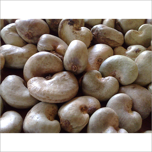 Cashew Nuts