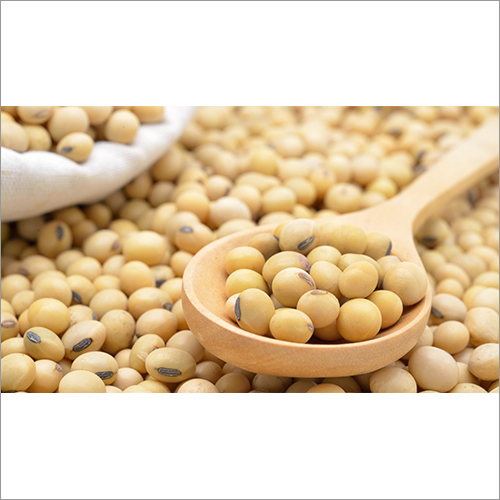 Soya Beans By ZITE INTERNATIONAL BUSINESS VENTURES LIMITED