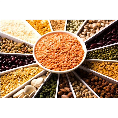 Indian Pulses