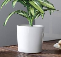 Ceramic Flower Pot