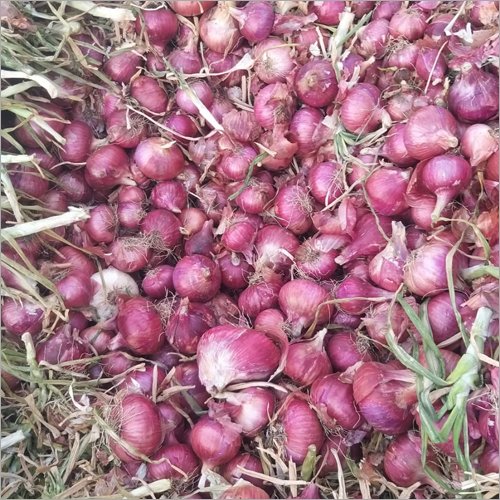 Natural Red Onion