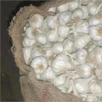 Natural Fresh Garlic Bulbs