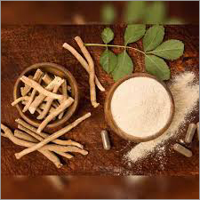Dry Herbal Shatavari Root By THE PRISHA GLOBAL TRADING COMPANY