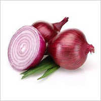Red Onion
