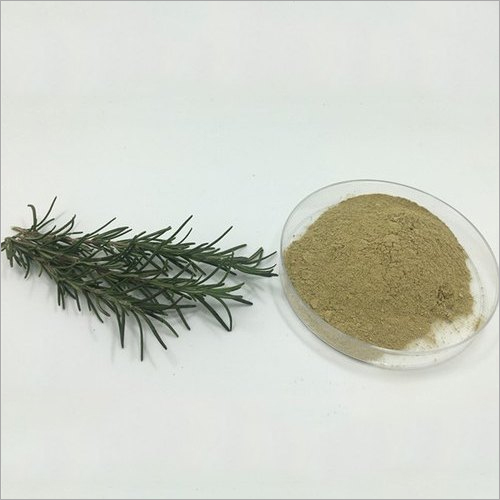 Natural Rosemary Extract