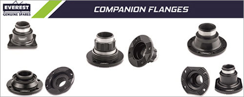 Companion Flanges