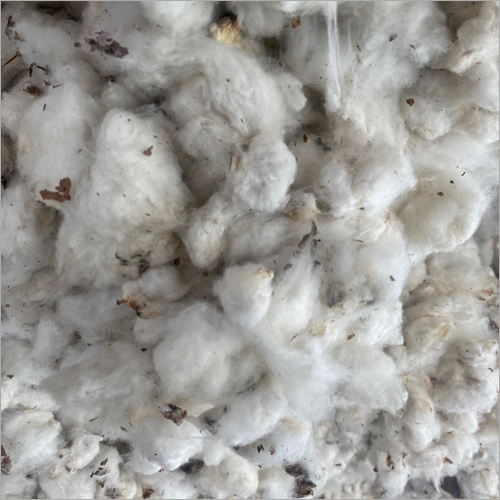 White Natural Cotton Seeds