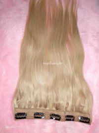 Clip In 613 Hair Extension