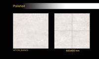 polished tiles