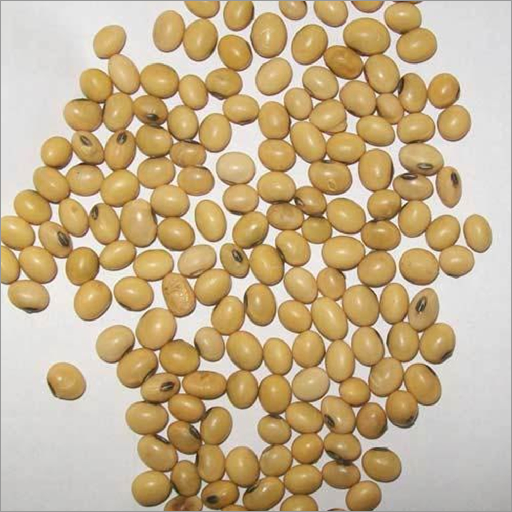 Green Brinjal Seeds