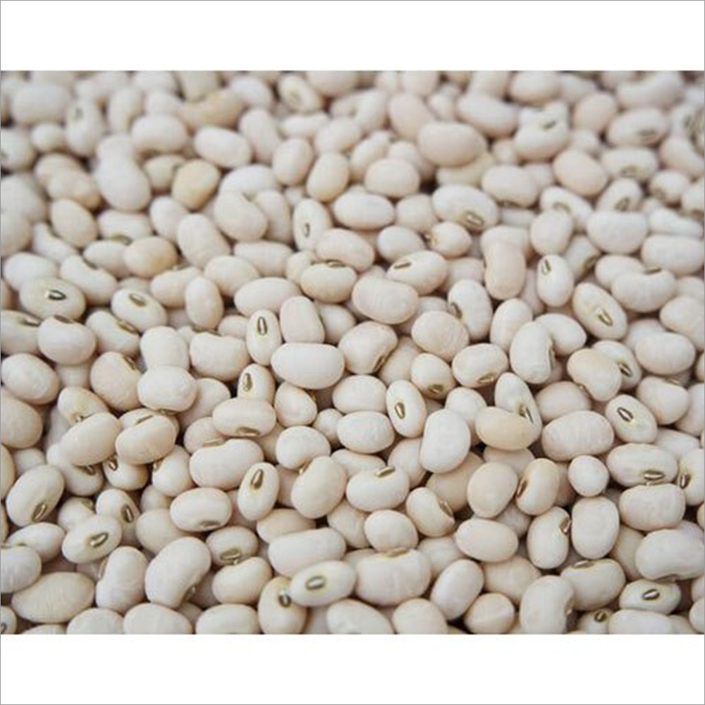 Cowpea Seeds Grade: A+