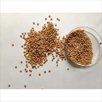 Cluster Beans Seeds - Bio-fertilizer Processed | A+ Grade, 99% Purity, 12 Months Shelf Life, Vegetable Seeds In Hygienic Packaging