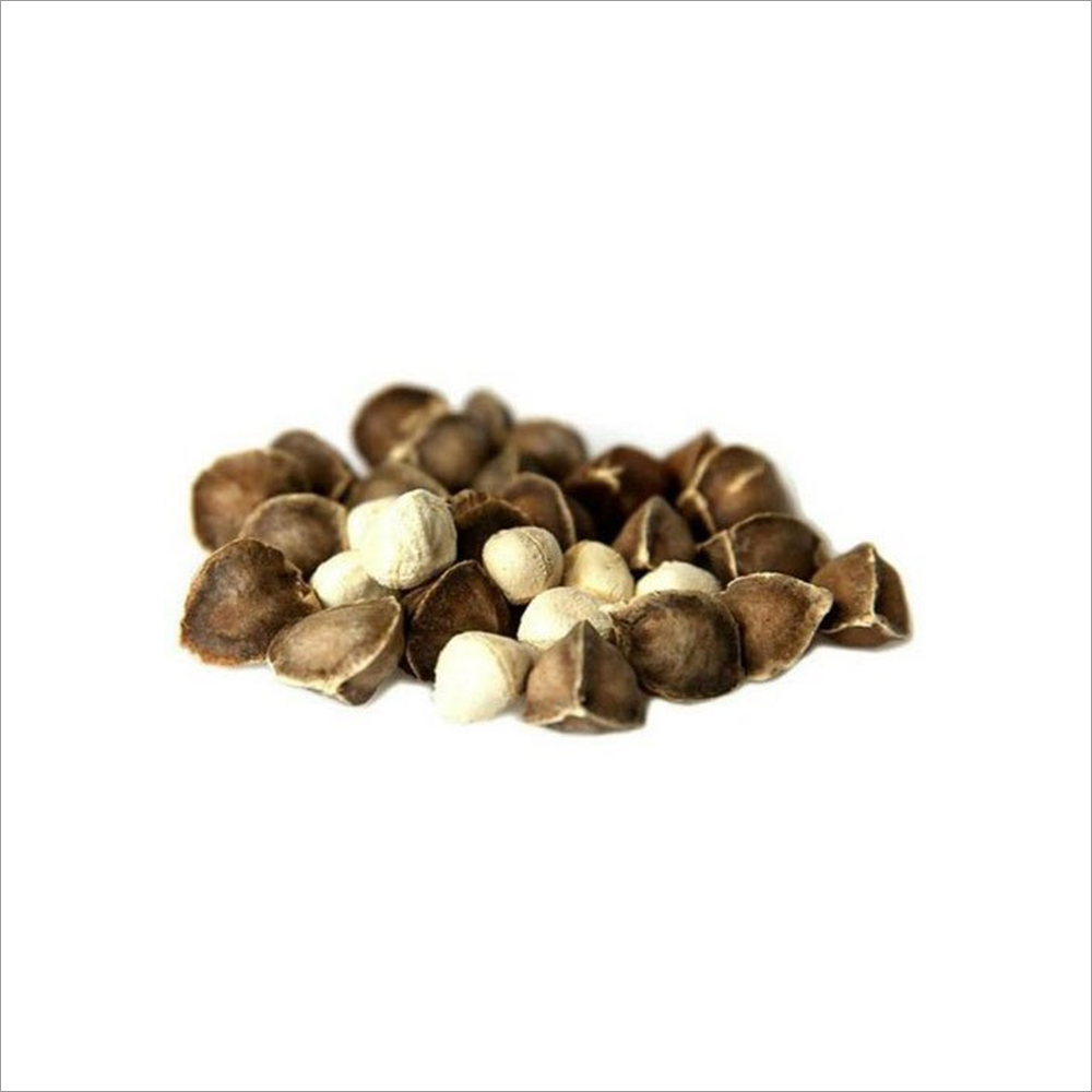 Organic Moringa Seeds