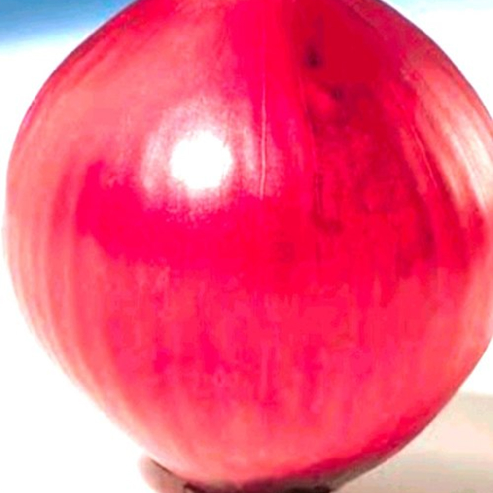 Fresh Nasik Red Onion Seeds Grade: A+