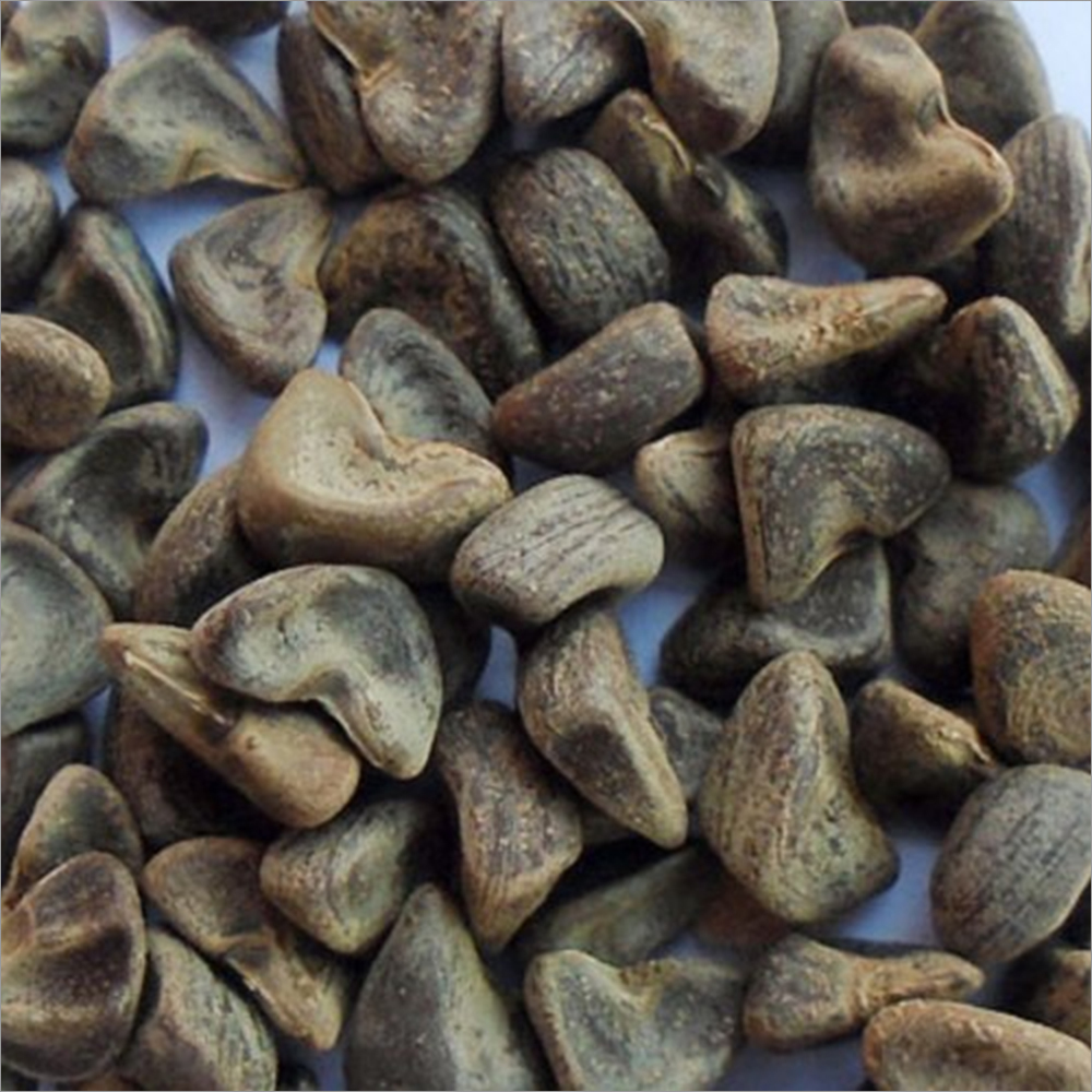 Organic Gongura Seeds