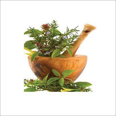 Davana Essential Oil