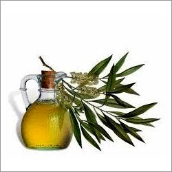 Tea Tree Oil