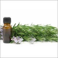 Eucalyptus Oil