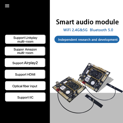 Audio Receiver Module OEM/ODM Wire/wireless