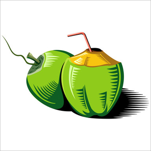 Instant Natural Tender Coconut Water Premix Powder