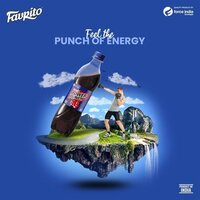 1.25 Litre Power Punch Soft Drink