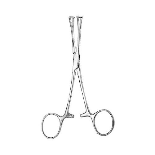 Collin Forceps - Stainless Steel 12cm, Polished Finish | Precise Gripping, Fine Tips, Smooth Action