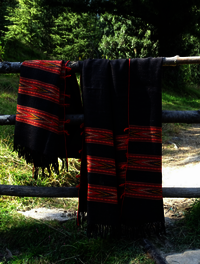 Winter Wear Wool Shawl