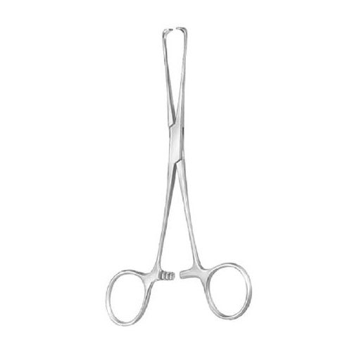 Boys-allis Tissue Forceps