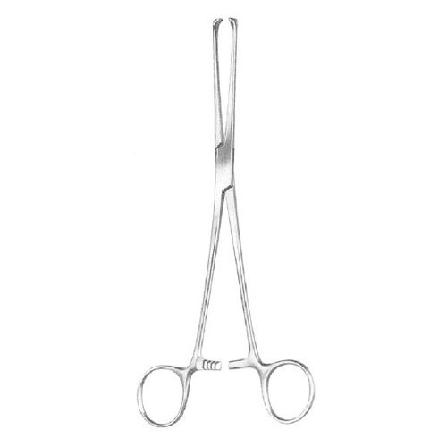 Thoms Allis Intestinal Tissue Forceps - Stainless Steel 12 cm Toothed Jaw | Gentle Grasp Secure Hold Precise Handling Autoclavable
