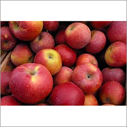 Fresh Apples