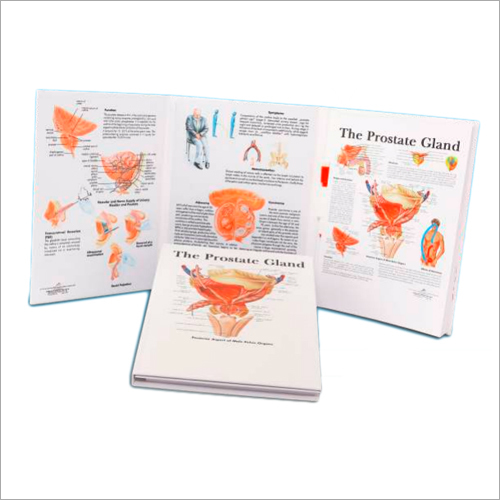 3D Scientific Products