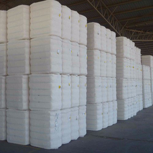 Cotton Bales - Color: White