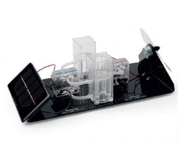 à¤à¥à¤¨à¤¿à¤¯à¤° à¤¬à¥à¤¸à¤¿à¤