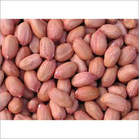 Groundnuts Seed