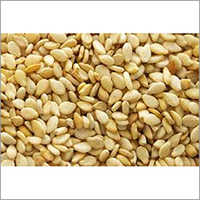 Sesame Seed